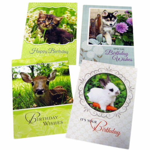 Favorite Friends Birthday - 12 Greeting Cards
