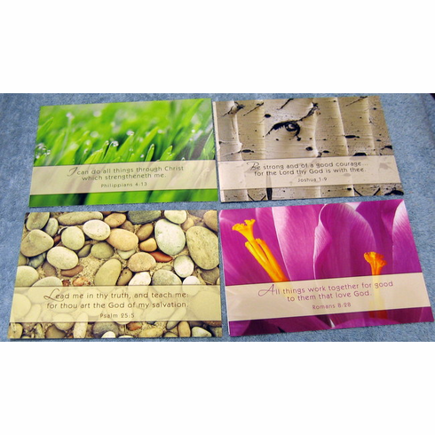 Nature's Splendor Encouragement - 12 Greeting Cards