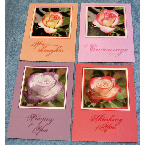 Roses Encouragement - 12 Greeting Cards
