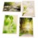 Tranquility Sympathy- 12 Greeting Cards