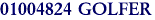 01004824 GOLFER