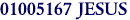01005167 JESUS
