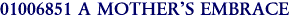 01006851 A MOTHER'S EMBRACE