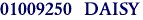 01009250  DAISY