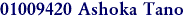 01009420 Ashoka Tano