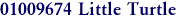 01009674 Little Turtle