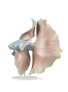 01009700 Betta Fish Right