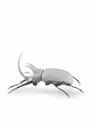 01009478 Rhinoceros Beetle Matte White