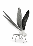 01009480 Dragonfly Matte White