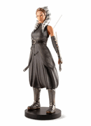 01009420 Ashoka Tano