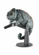 01009564 Chameleon