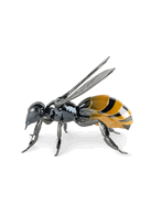01009592 Bee