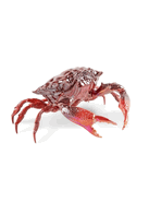 01009694 Crab Red