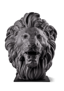 01009826 Leo (L.E.)