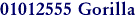 01012555 Gorilla