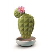 01040184 Opuntia Cactus Diffuser. Gardens of Valencia Scent