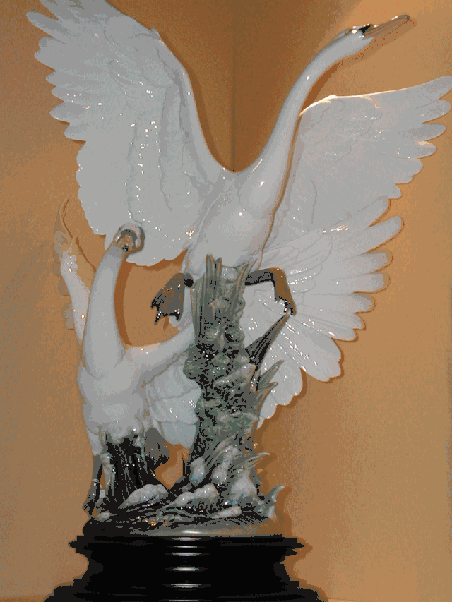 Swans take flight