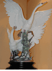 Swans take flight