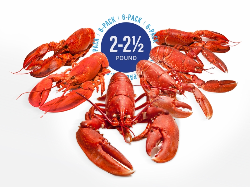 2-2 1/2 lb Live Maine Lobsters (6 Pack!)<br> <i>With Free Overnight Shipping! <br>A Limited Time Offer For November Only!</i>