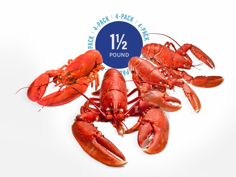 1 1/2 lb Live Maine Lobsters (4 Pack)<br>With Free Shipping!<br> <i>A Limited Time Special For November Only!</i>