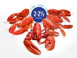 2-2 1/2 lb Live Maine Lobsters (6 Pack!)<br> <i>With Free Overnight Shipping! <br>A Limited Time Offer For November Only!</i>