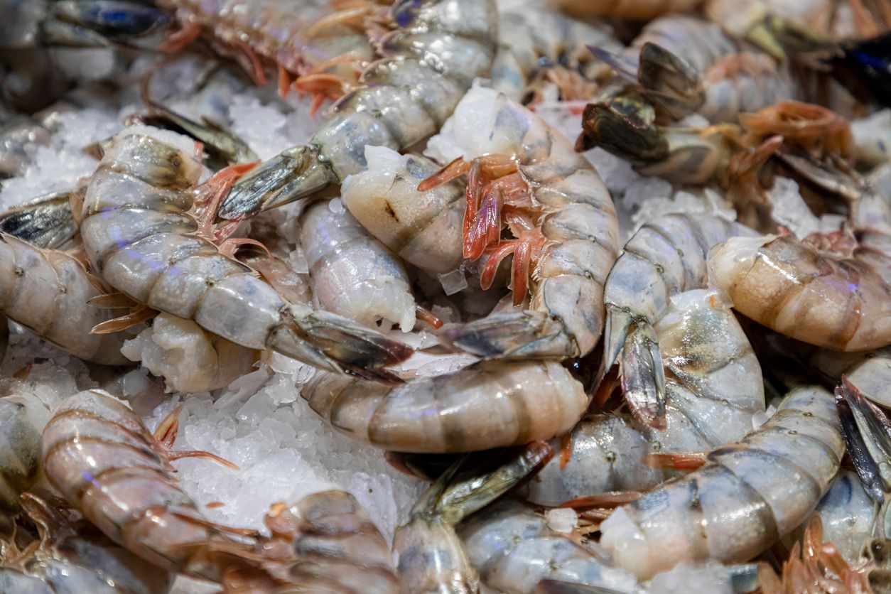 5 lb. Box Of Jumbo Gulf Shrimp! (U15s)