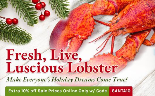Fresh, Live, Luscious Lobster | Make Everyone's Holiday Wishes Come True