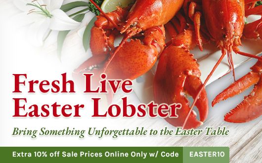 Fresh Live Easter Lobster | Bring Something Unforgettable to the Easter Table