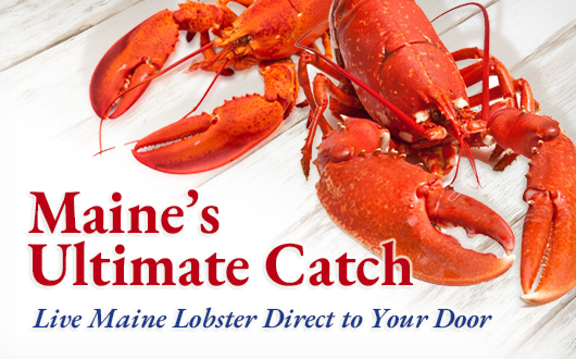 Maine's Ultimate Catch | Live Maine Lobster Direct to Your Door
