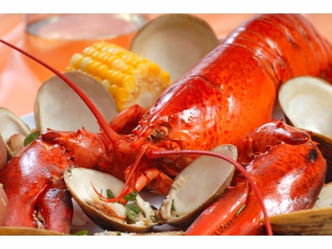 Lobster