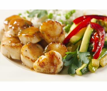 Outstanding Scallops