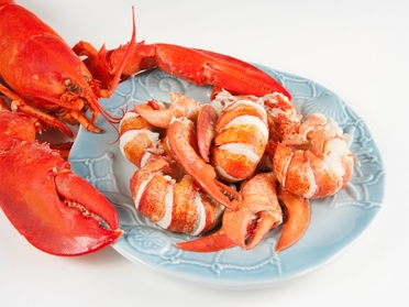 Premium Maine Lobster Meat!