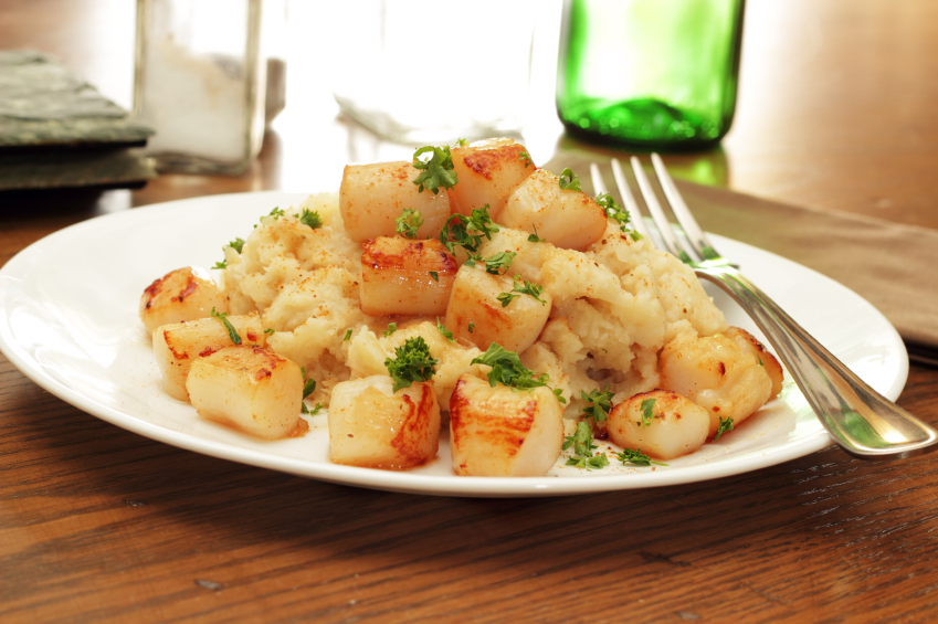 Tender & Sweet Bay Scallops!