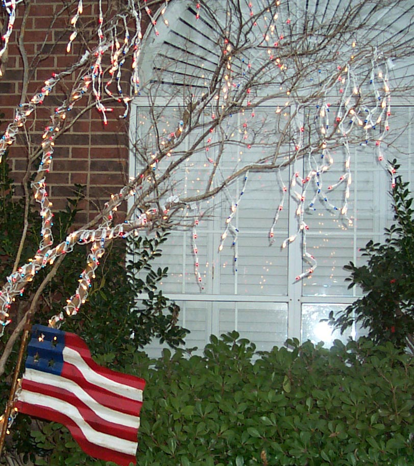 Patriotic Christmas Lights - Red, White & Blue Lights