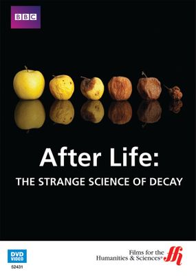 After Life: The Strange Science of Decay (Enhanced DVD)