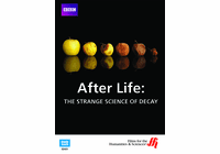 After Life: The Strange Science of Decay (Enhanced DVD)
