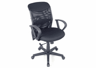 Alvin Salambro Mesh Fabric Managers Office Height Chair