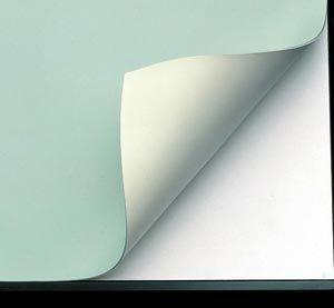 Alvin Vyco Roll-Cream/Green 31"X10Yd
