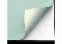Alvin Vyco Roll-Cream/Green 31"X10Yd