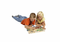 ANATEX Magnetic Transportation Maze