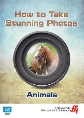 Animals: How to Take Stunning Photos  (Enhanced DVD)