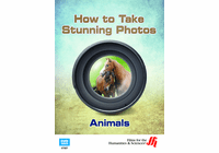 Animals: How to Take Stunning Photos (Enhanced DVD)