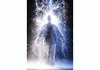 Bill Viola: The Eye of the Heart Video (DVD/VHS)