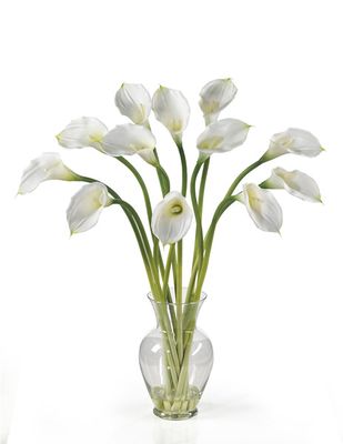 Calla Lilly Liquid Illusion - Click to enlarge