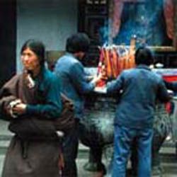 Chinese - Virgil Goes to China: An Introductory Course in Spoken Mandarin (5-part set - DVD)