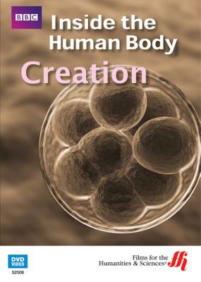Creation: Inside the Human Body (Enhanced DVD)