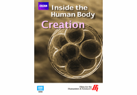 Creation: Inside the Human Body (Enhanced DVD)