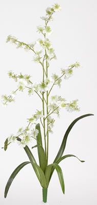 Dancing Lady Silk Orchid Flower (6 Stems) - Click to enlarge