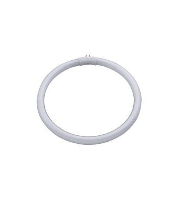 DAYLIGHT 28 watt Circular Fluorescent Bulb