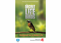 Designed for a Welsh Life: The Secret Life of Birds (Enhanced DVD)